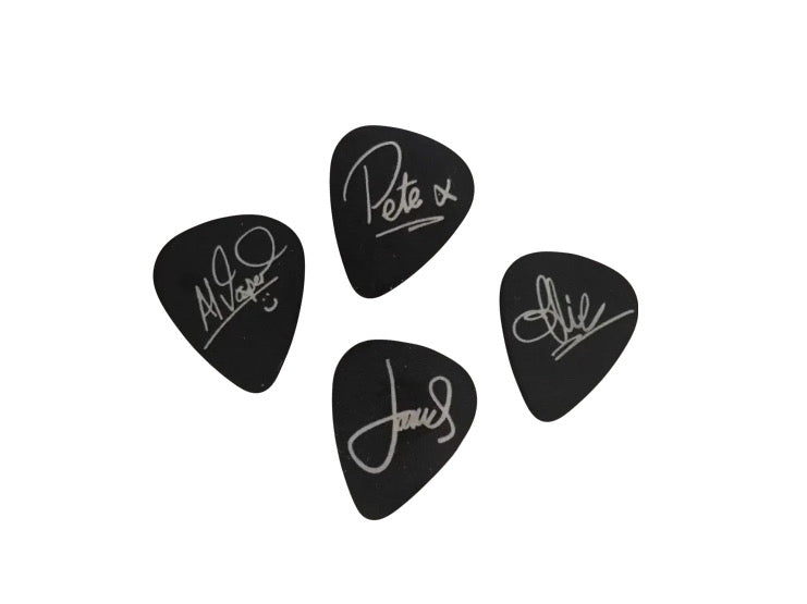 The McCartney Songbook Band Signed Plectrums